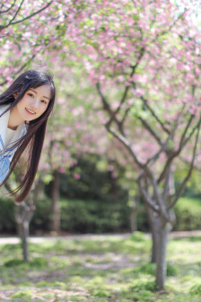 派派后花园